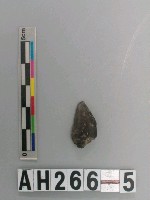 藏品(打製石鏃)的圖片